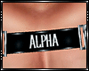 Alpha Harness