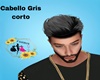 CabelloGris Corto