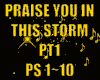 PRAISE YOU IN THIS STORM