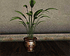 Cottage Potted Plant