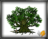(ED1)Strange tree