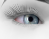 Lex Eyes Kid F/M