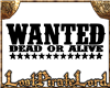 [LPL] Wanted 3d