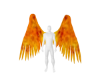 Girl On Fire-Wings (Ani)