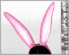 BBR Fuchisa Rabbit Ears