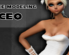 Luxe Modeling CEO Poster