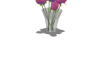 eK Pink Purple flowers