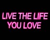 Live the Life you Love