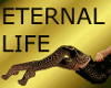 Eternal Life Fishnet