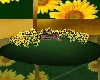 (Sn)SunflowerFairyLog