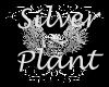 NightWolf Silver Plant