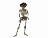 Skeleton cowboy Avi M/F