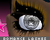 [V4NY] romance Eyelashes