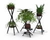 6 Plants  w/ Stands