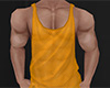 Gold Mesh Tank Top 4 (M)