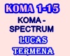 Lucas Termena-Koma