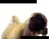 ~SR~Animated pug licking