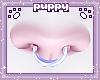 Kibear Septum Perri