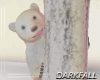 Polar Bear Play Hide