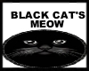 Black Cat's Meow