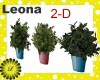 3 POTTED plants RESIZE