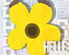 H♡ Fluffy sunflower
