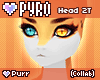 *W* PYRO Head F 2T