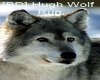 [BD] Hugh Wolf Rug
