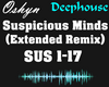 Suspicious Minds - Remix