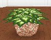 GreenPlant/Chrystal Pot