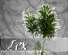 LEX Bambus