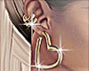 14K  gold earrings