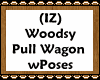 (IZ) Pull Wagon Poses