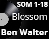 Blossom