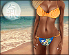 X~ Miami Bikini