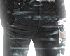 hedi radioactive denim