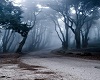 ''Niebla''por TsHoremheb