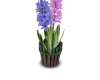 Flower Pots4