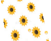 Sunflower rug
