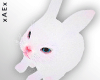 ▲🐰🐇 BUNNY