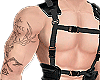 Top Suspender Belt
