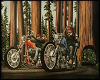 Redwood Ride