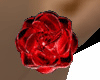 ~81~ Red Rose SE