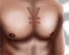 ¥Tattoo Yene Chest¥