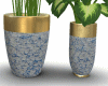 plantas