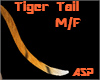 ASP)Tiger Fur Tail M/f