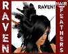 RAVEN HAIR FEATHERS!