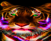 Neon Tiger Brown Picture