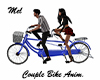 Couple Bike Anim.