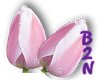 B2N-Pink/White Tulips